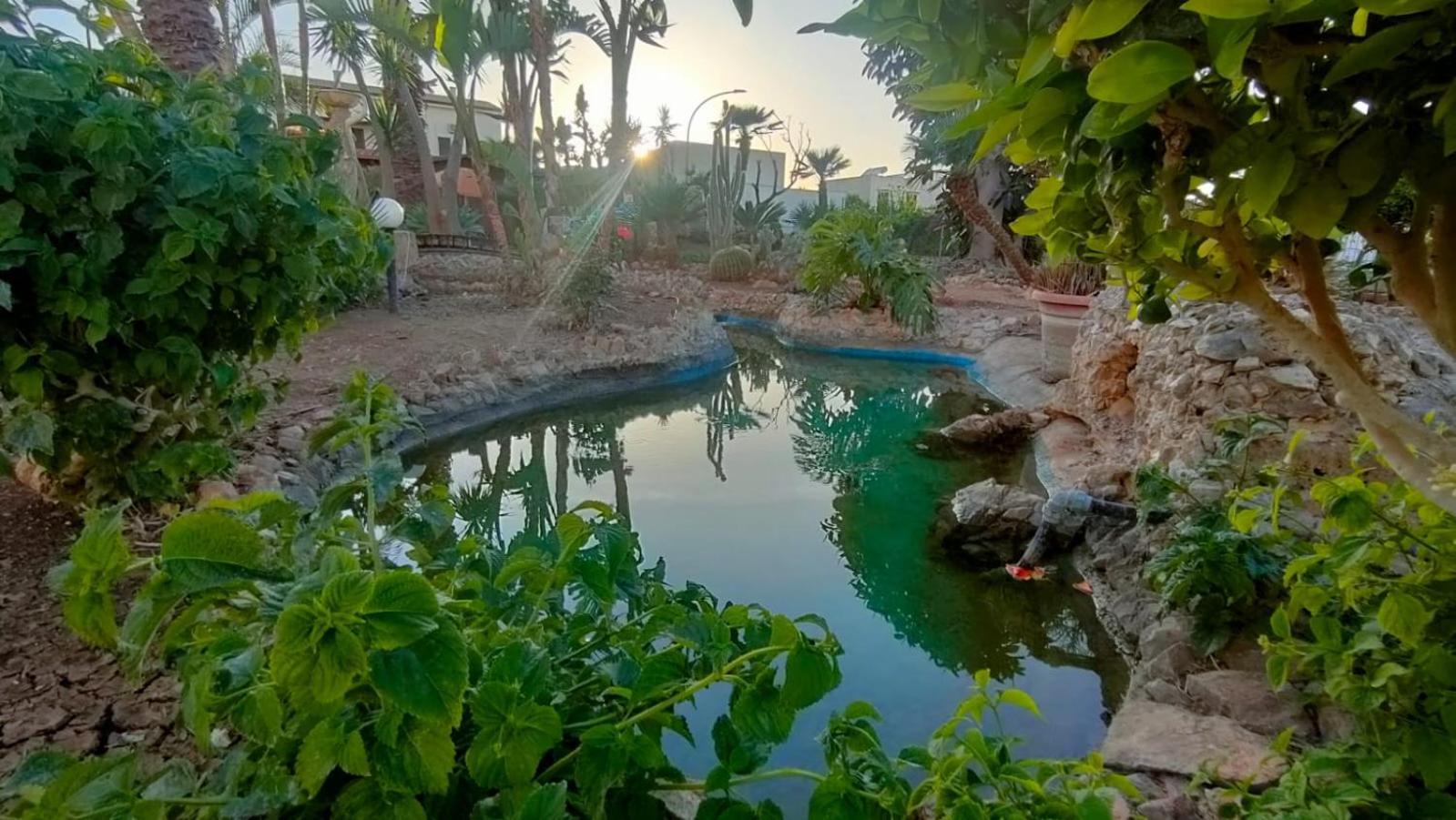 Casa Vacanza Stella del Mare San Vito Lo Capo Esterno foto
